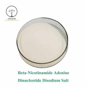 Beta-Nicotinamide adenine dinucleotide disodium salt (NADH)