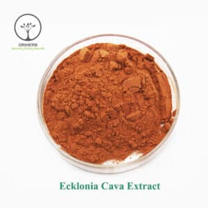 Ecklonia cava Extract