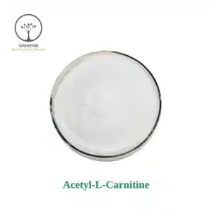 Acetyl L-Carnitine Powder