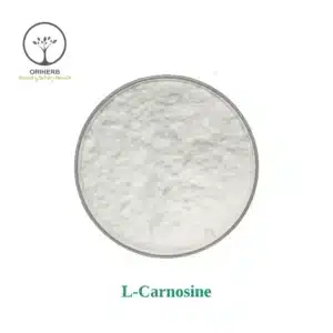 L-Carnosine Powder