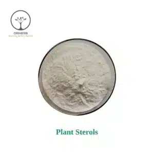 Plant Sterols Powder
